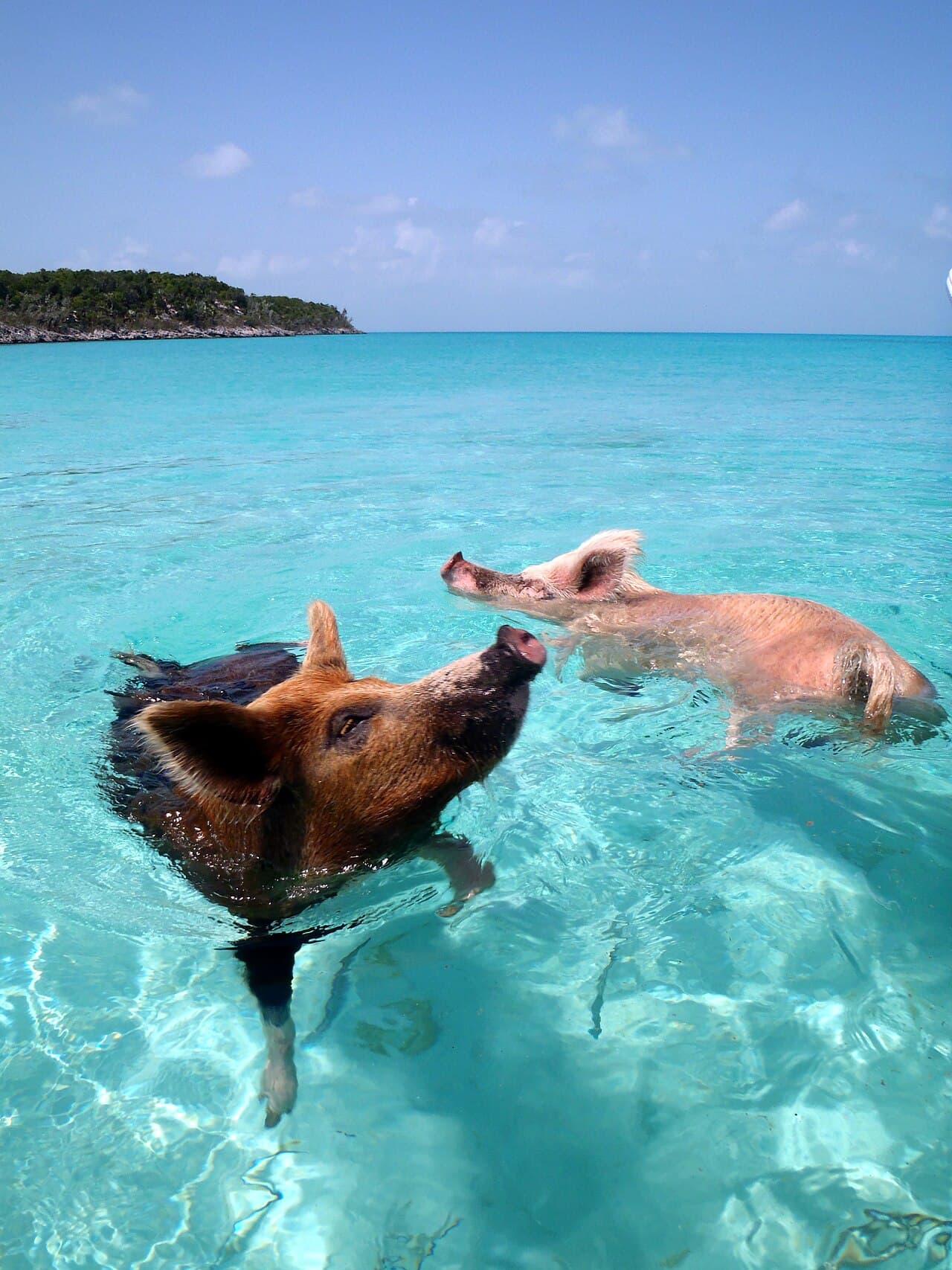Exuma