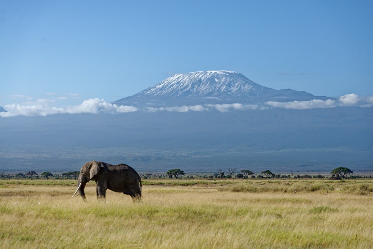 Amboseli National Park